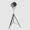 focus floor lamp